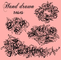 Hand drawn Roses