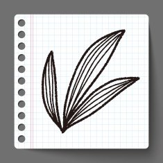 plant doodle N494