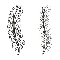Doodling hand drawn amazing feathers