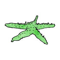 Cartoon Starfish N40