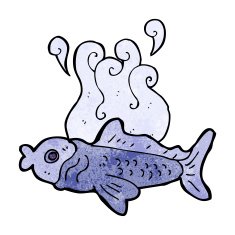 cartoon funny fish N26