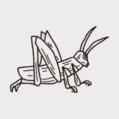 grasshopper doodle N12