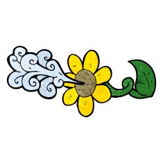 cartoon flower squirting water N3
