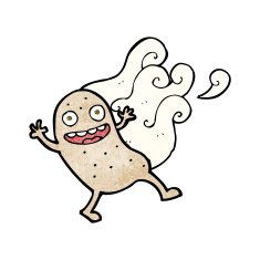 Cartoon Potato N13