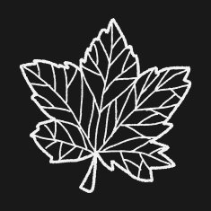 plant doodle N495