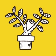plant doodle N496