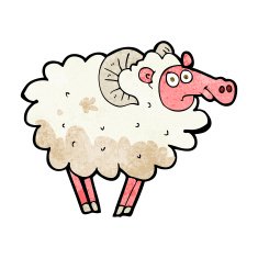 cartoon dirty sheep N2