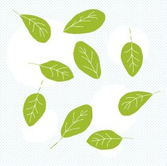 Spinach Leaves Doodle
