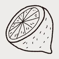 lemon doodle N19