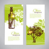 Banner set of vintage olive background splash backgrounds