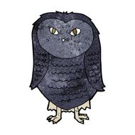 Cartoon Owl N117