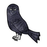 Cartoon Owl N118