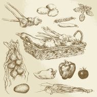 Vegetables N7