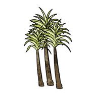 Cartoon Palm Tree N70