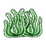 Cartoon Seaweed N53