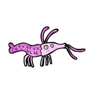 Cartoon Shrimp N37
