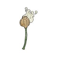 cartoon dried poppy N21