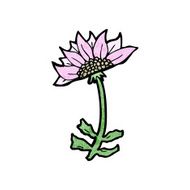 cartoon flower N326