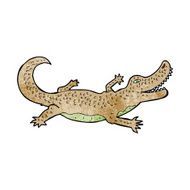 Cartoon Crocodile N60