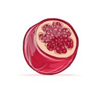 Sketch of pomegranate for your design