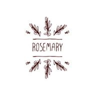 Herbs and Spices Collection - Rosemary N2
