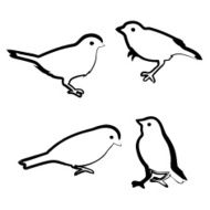 Drawing birds vector sketch