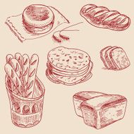 Bakery products hand drawn sketch different kinds bread