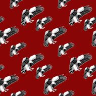 Pattern N19