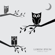 Vector image of an owls perched on branches N2