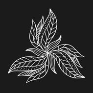 Vector flourish background