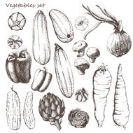 Vegetables Set N3