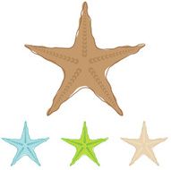 Starfish Illustration