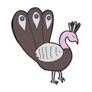 Cartoon Peacock N10