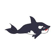 Cartoon Killer Whale N11