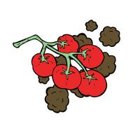 green tomatoes on vine illustration N7