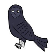 Cartoon Owl N123