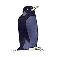comic cartoon penguin N6