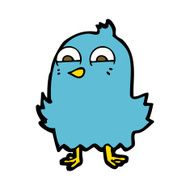 funny cartoon bird N132