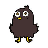 funny cartoon bird N133