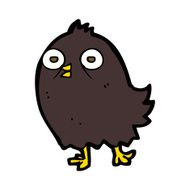 funny cartoon bird N134