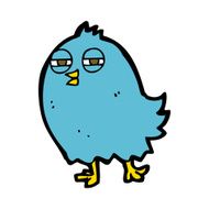 funny cartoon bird N135