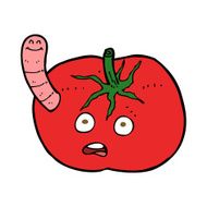 cartoon tomato with worm N7