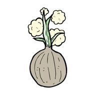 Cartoon Onion N16