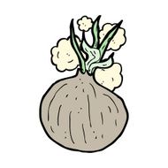 Cartoon Onion N17