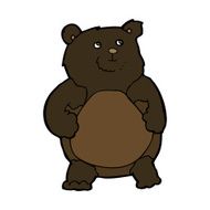 Cartoon Bear N70