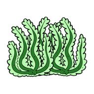 Cartoon Seaweed N58