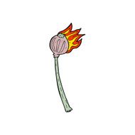cartoon dried poppy N22