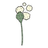 cartoon dried poppy N23