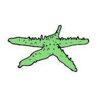 Cartoon Starfish N41
