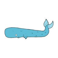 Cartoon Whale N74